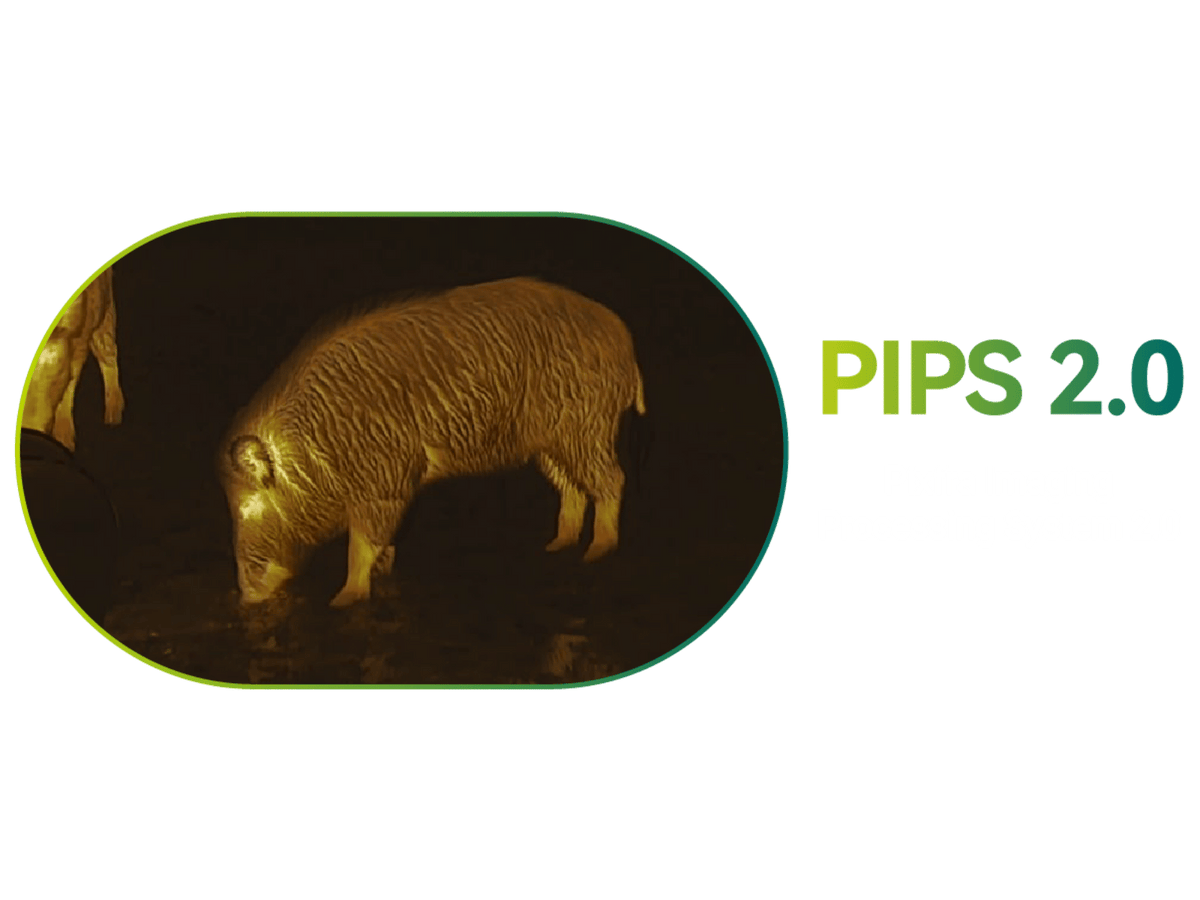 PIPS 2.0 RÉVOLUTIONNE LA CLARTÉ DES IMAGES
