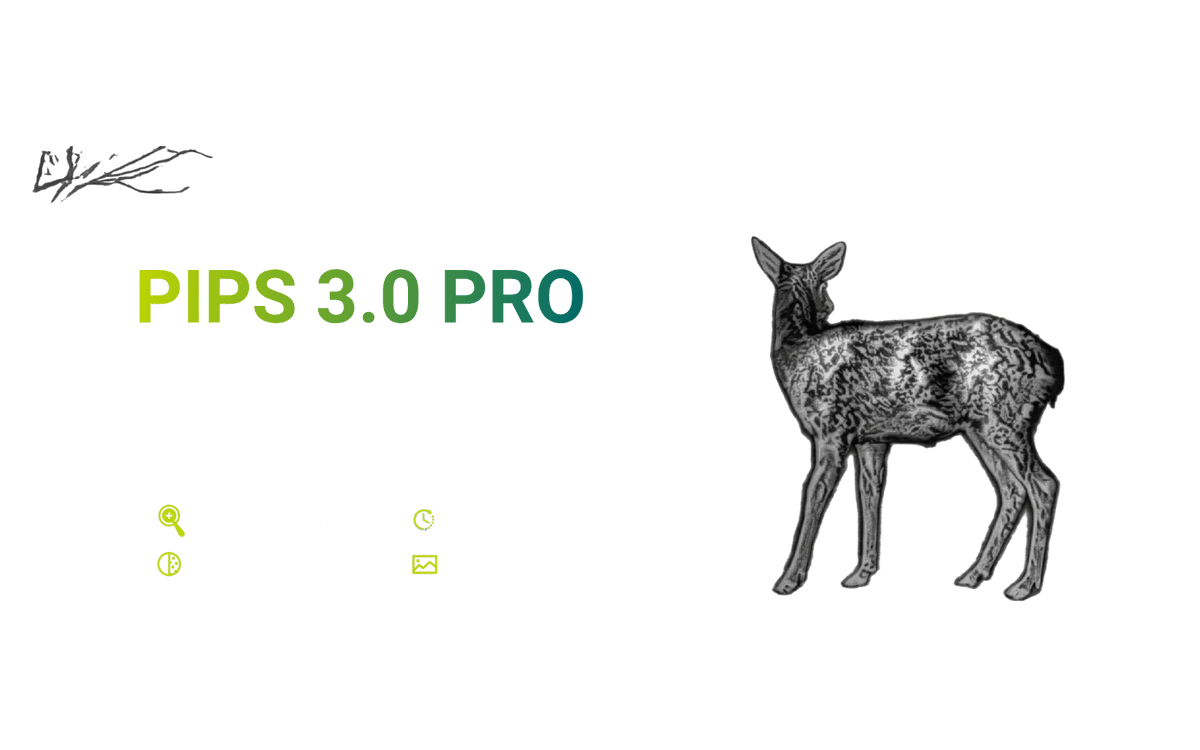  SYSTÈME PIPS 3.0 PRO