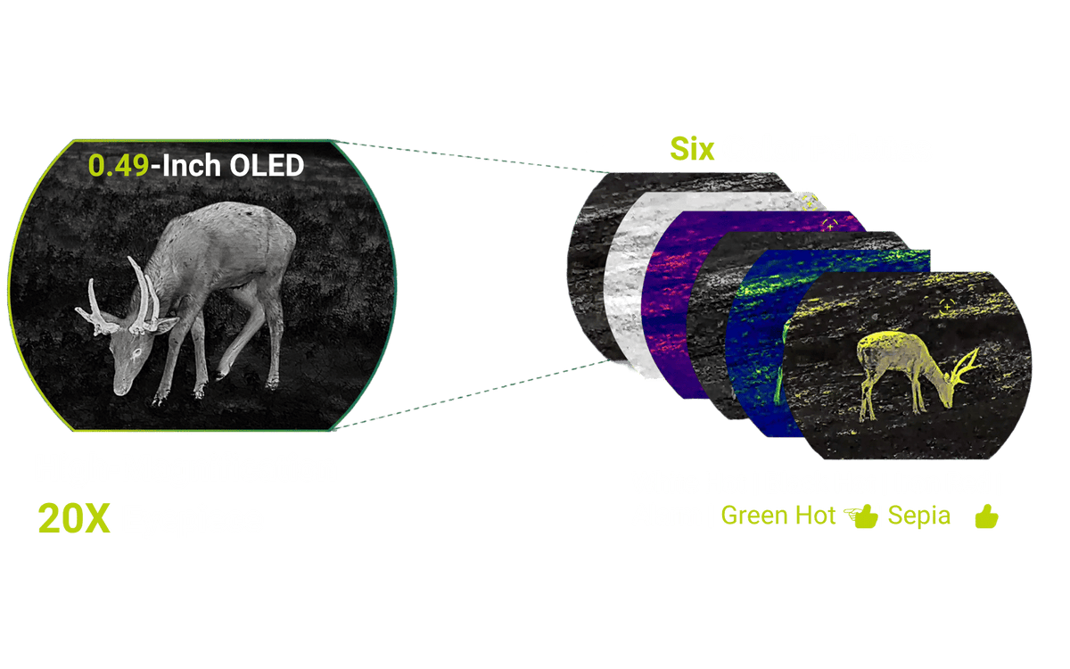 ÉCRAN OLED DE 0,49" - OCULAIRE 20x